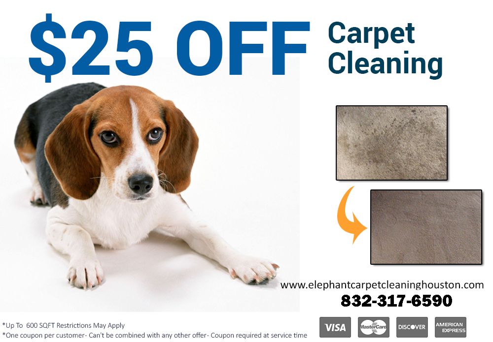 Cleaning Carpet Houston Special Offer